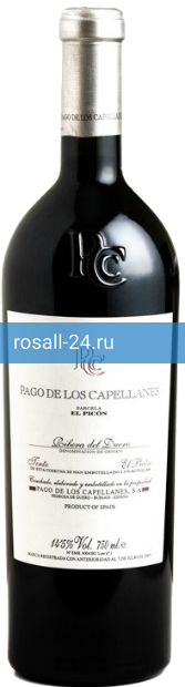 Вино Tinto Picon