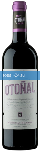 Вино Rioja DOC Otonal