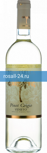 Вино Pinot Grigio Torresella
